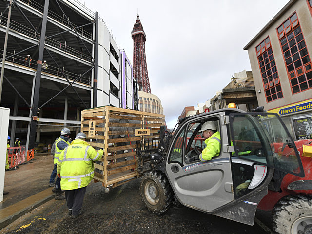 A crate containing a model elephant being lifted in front of the Showtown site